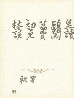 林初荔顾慕辰小说免费阅读最新章节