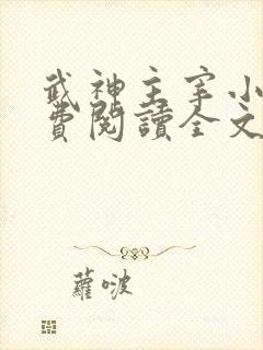 武神主宰小说免费阅读全文洛尘