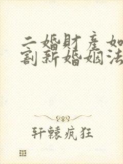 二婚财产如何分割新婚姻法