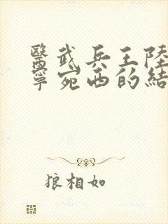 医武兵王陆轩和宁宛西的结局