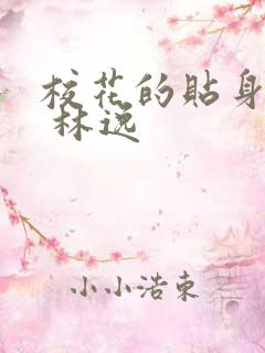 校花的贴身高手 林逸