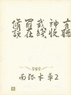 修罗武神有声小说在线收听完整版