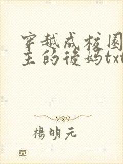 穿越成校园文男主的后妈txt