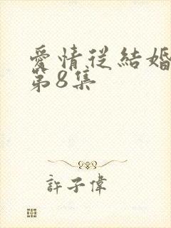 爱情从结婚开始第8集