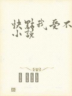 快点我受不了了小说