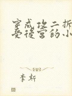 穿成攻二拆了总受后宫的小说