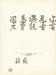 因为遇见你全集免费观看电视剧