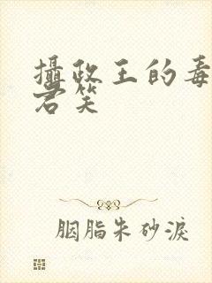 摄政王的毒妃千君笑