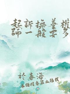 起诉抚养权请律师一般要多少钱