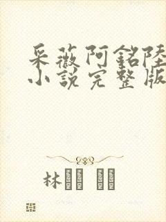 采薇阿铭陆三平小说完整版