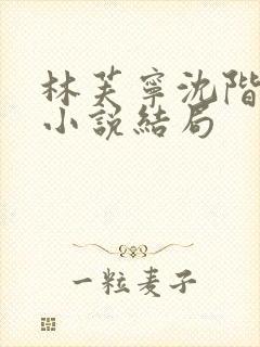 林芙宁沈阶魏寂小说结局