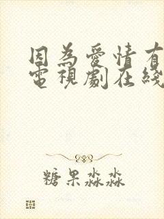 因为爱情有幸福电视剧在线播放