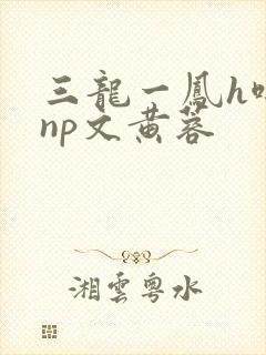 三龙一凤h啪肉np文黄蓉