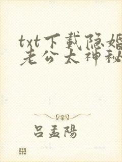 txt下载隐婚老公太神秘