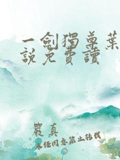 一剑独尊叶玄小说免费读