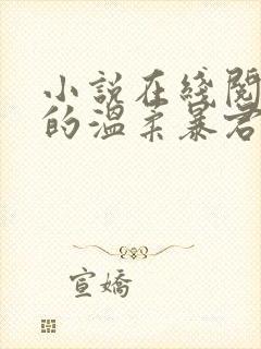 小说在线阅读我的温柔暴君