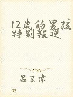 12岁的男孩子特别叛逆