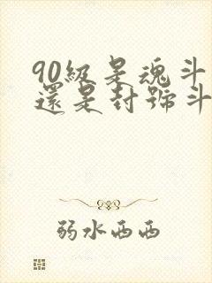 90级是魂斗罗还是封号斗罗