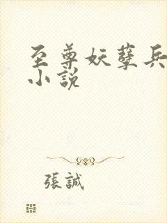 至尊妖孽兵王 小说