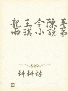 龙王令陈平,苏雨琪小说第十五章