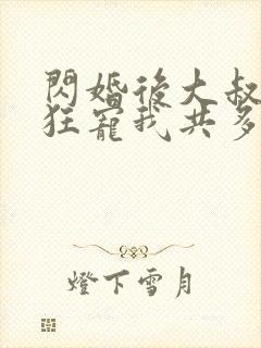 闪婚后大叔每天狂宠我共多章