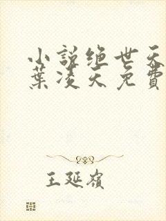 小说绝世天骄·叶凌天免费全文阅读