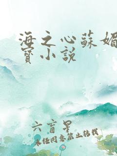 海之心苏媚赵大宝小说