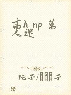 高h np 万人迷