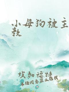 小母狗被主人调教