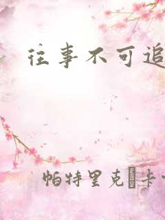 往事不可追短剧