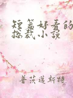 短篇好看的霸道总裁小说