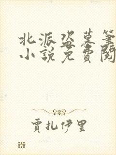 北派盗墓笔记 小说免费阅读全集