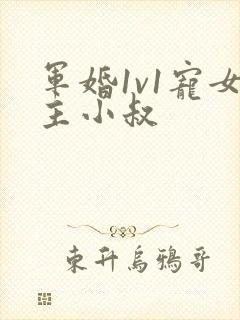 军婚1v1宠女主小叔