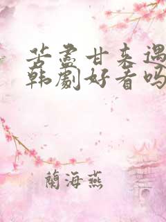 苦尽甘来遇见你韩剧好看吗