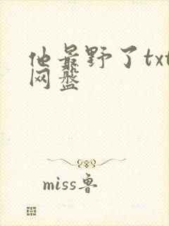 他最野了txt网盘