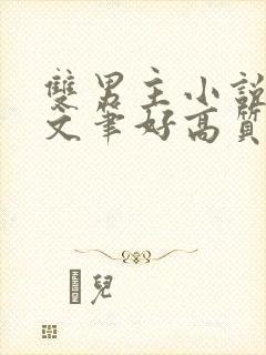 双男主小说推荐文笔好高质量完结