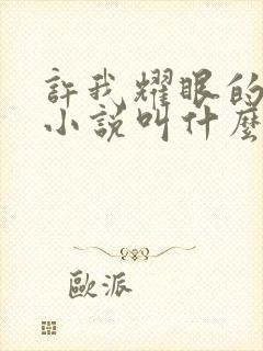 许我耀眼的原著小说叫什么