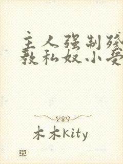 主人强制残忍调教私奴小受小说