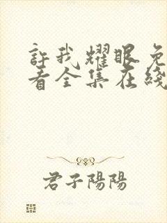 许我耀眼免费观看全集在线播放高清