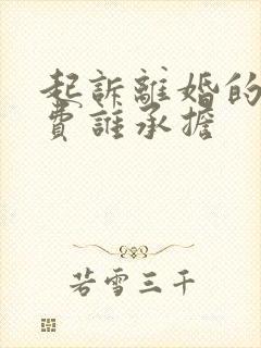 起诉离婚的律师费谁承担