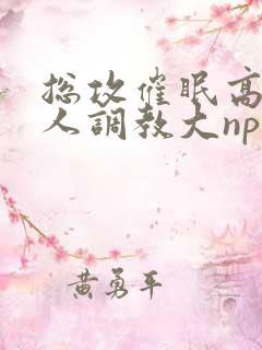 总攻催眠高冷美人调教大np