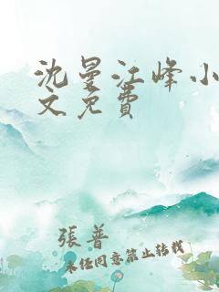 沈曼江峰小说全文免费