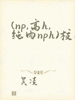 (np,高h,纯肉nph)校园
