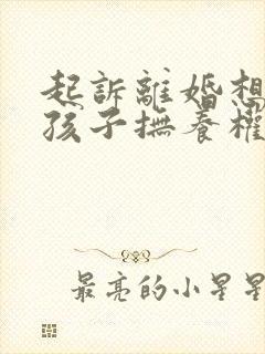 起诉离婚想争取孩子抚养权