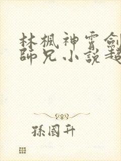 林枫神霄剑宗大师兄小说超前更新