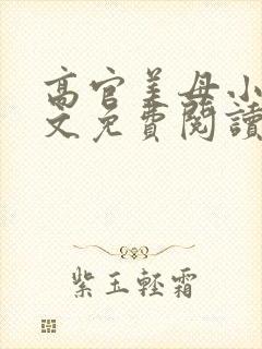 高官美母小说全文免费阅读