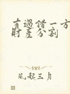 有过错一方离婚财产分割