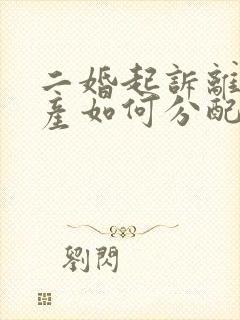 二婚起诉离婚财产如何分配