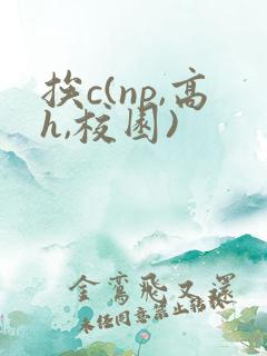 挨c(np,高h,校园)