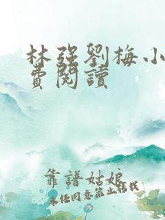 林强刘梅小说免费阅读